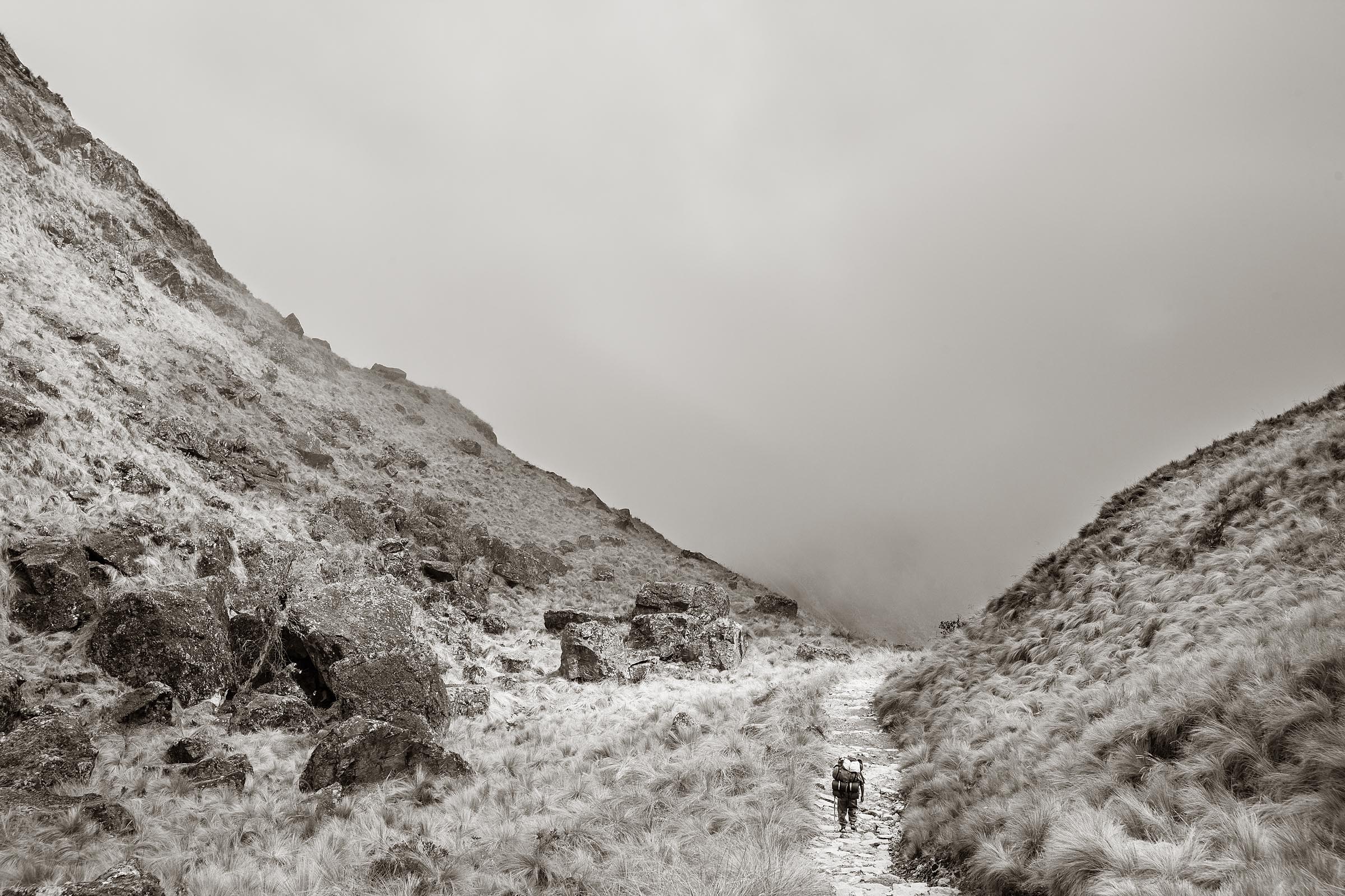 A porter makes his way along the Inca Trail. Carrying heavy loads teams of porters haul everything their clients will need to make the trek to Machu Picchu.