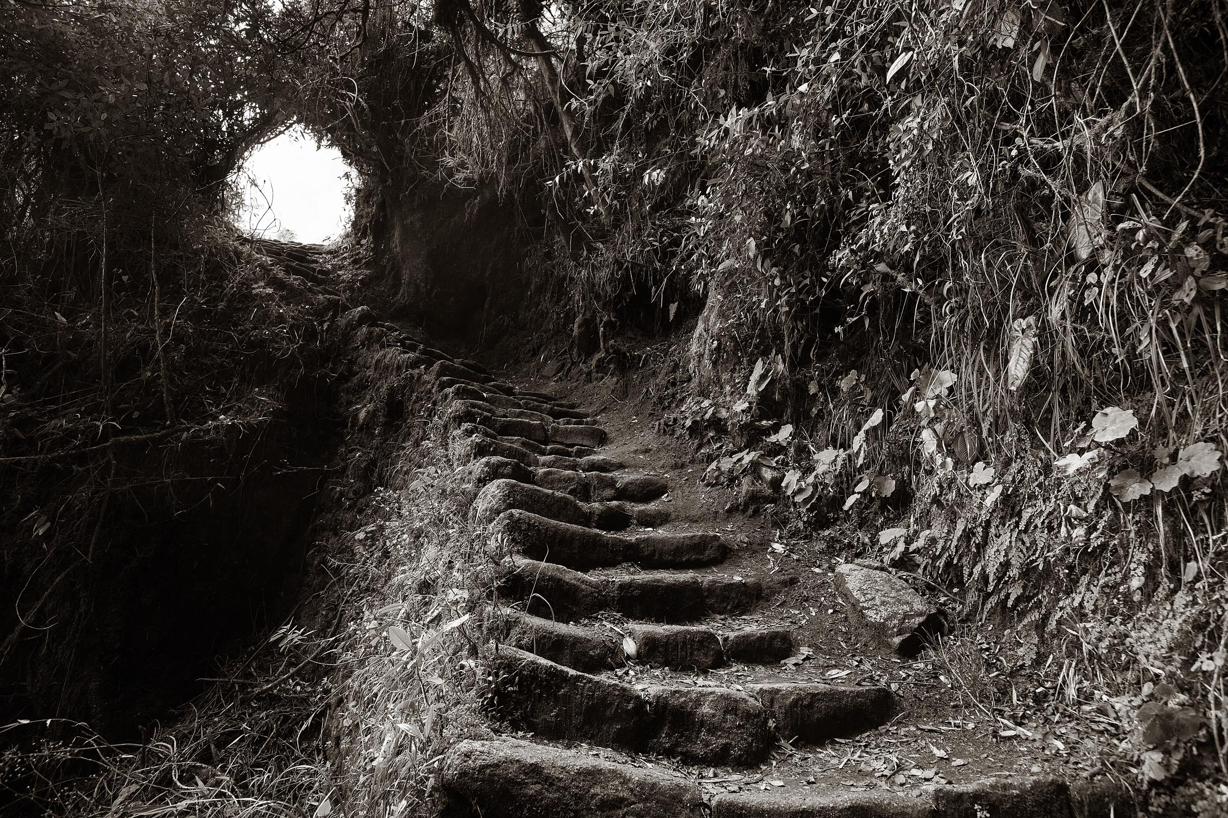 View along the Inca Trail.