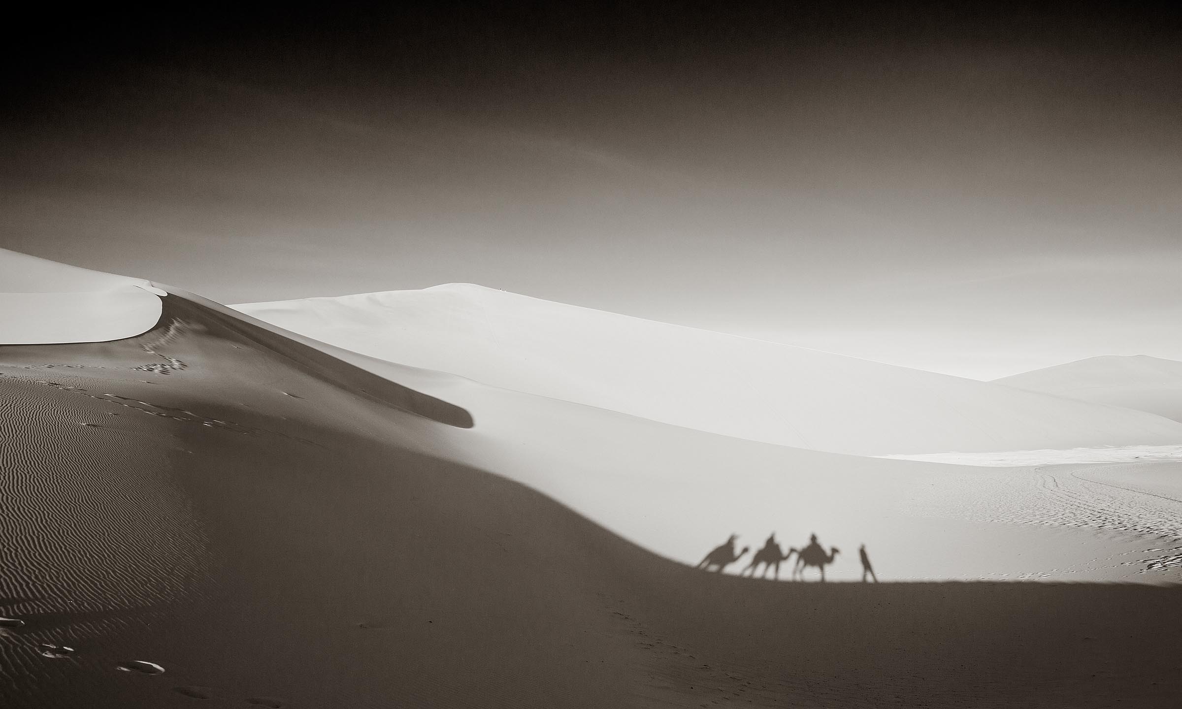 A mini caravan makes its way across the sand after a sunrise trek.