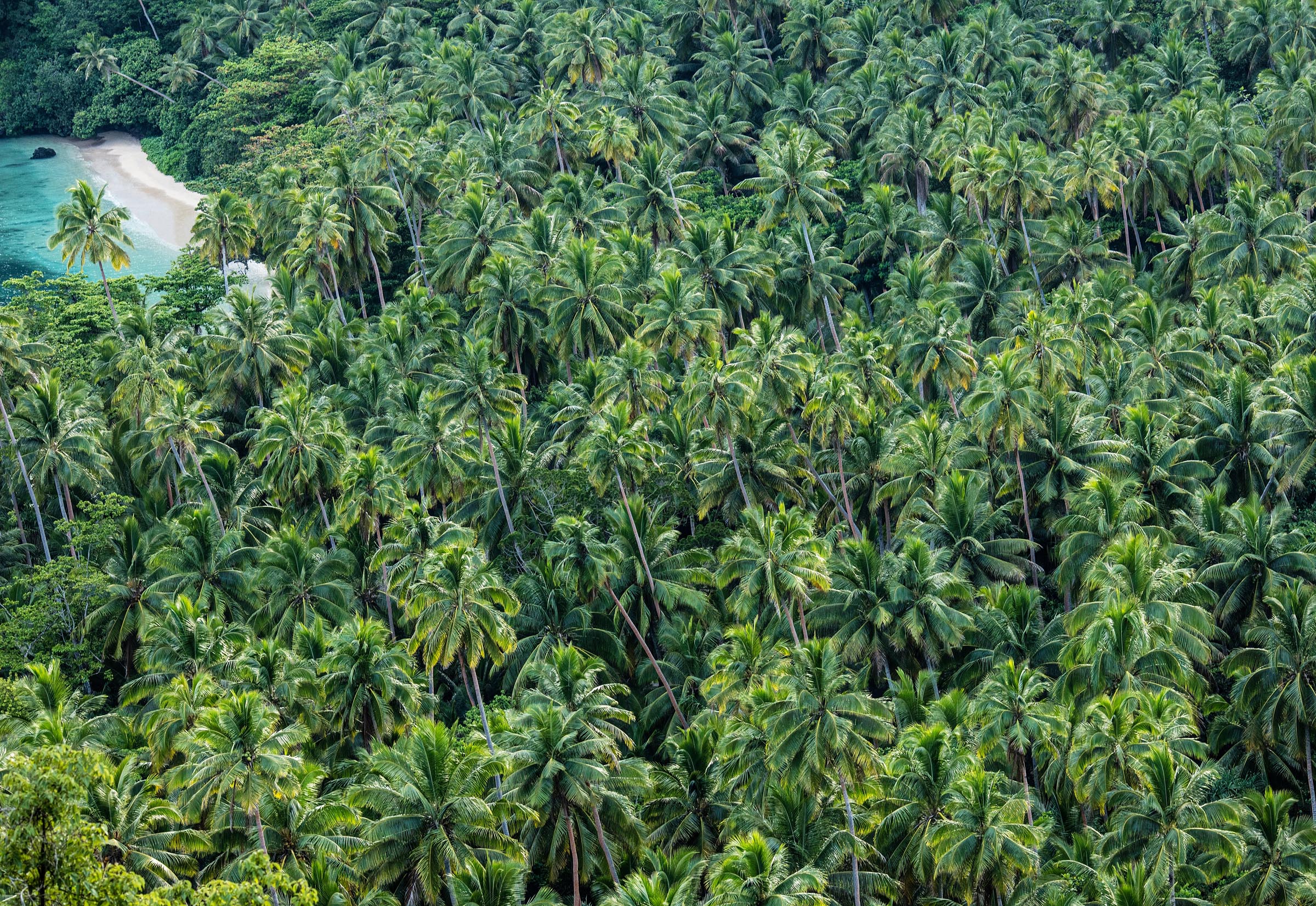 Laucala Island, Fiji