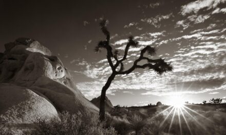 Joshua Tree National Park