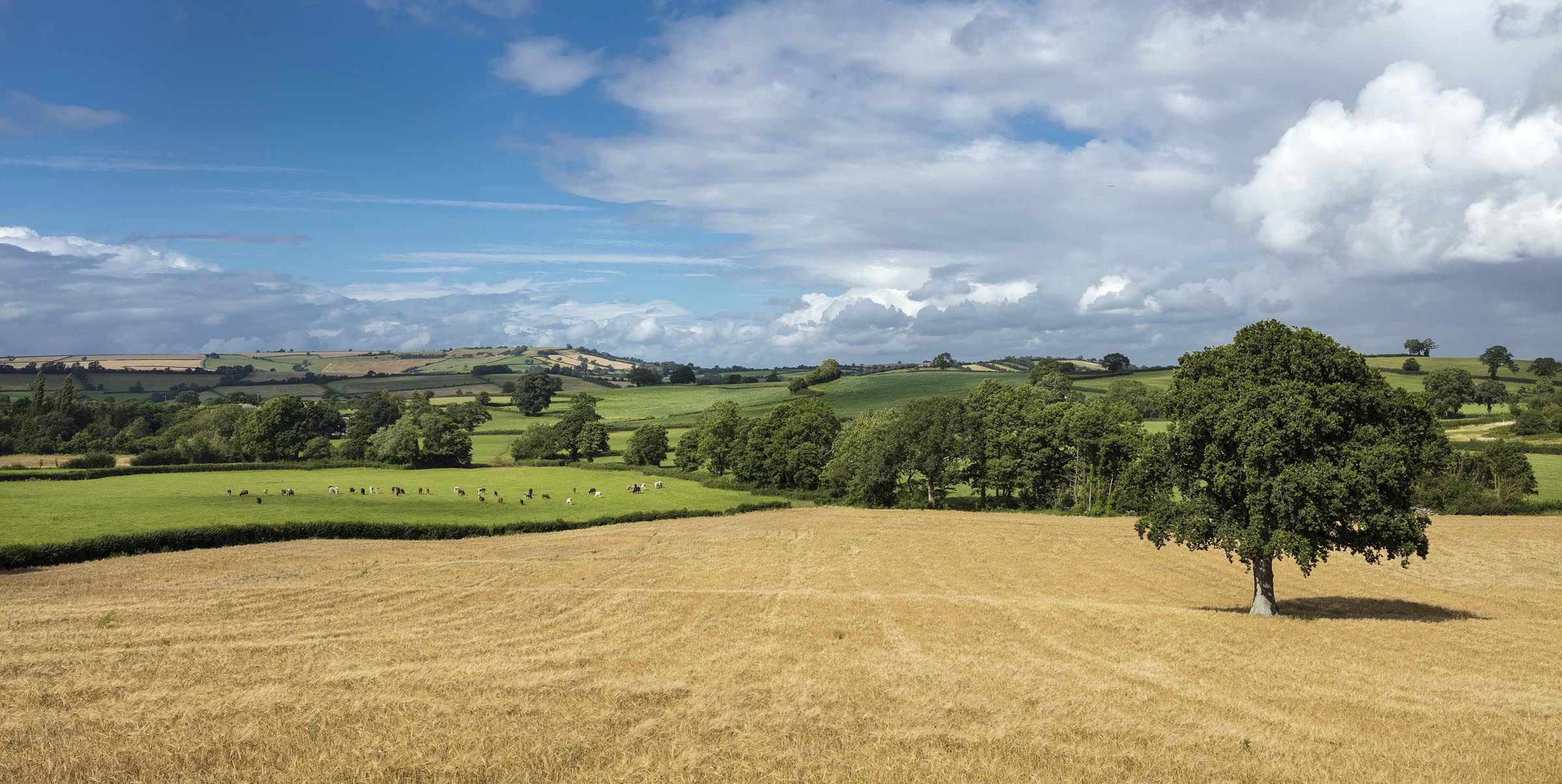 In the English Countryside