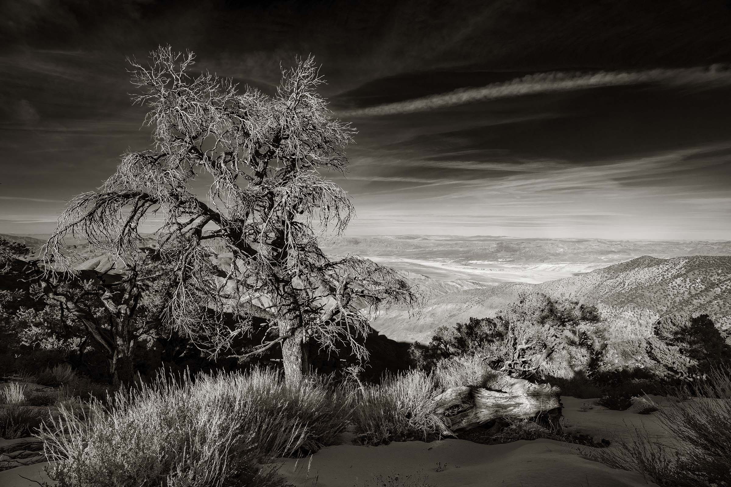 dh_2021_02_Death-Valley_1260-dt