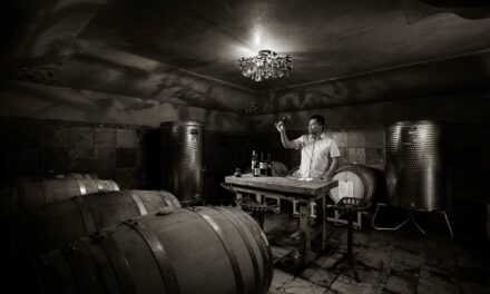 Santori Wine Maker