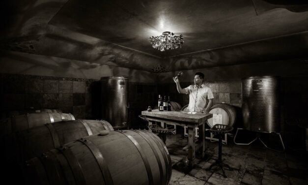 Santori Wine Maker