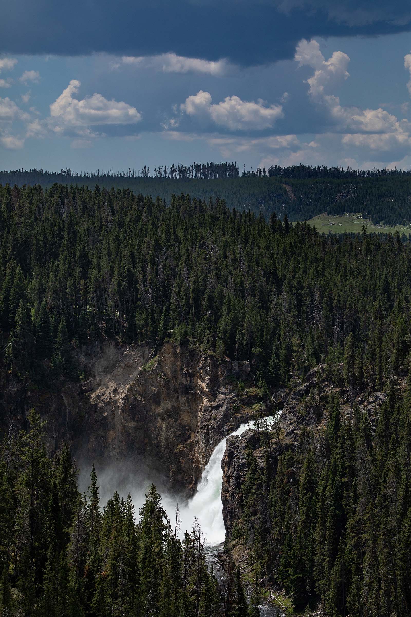 dh_2021_07_Yellowstone_1503
