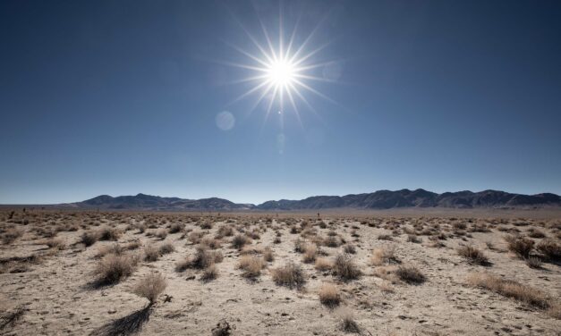 Finding U2’s Joshua Tree