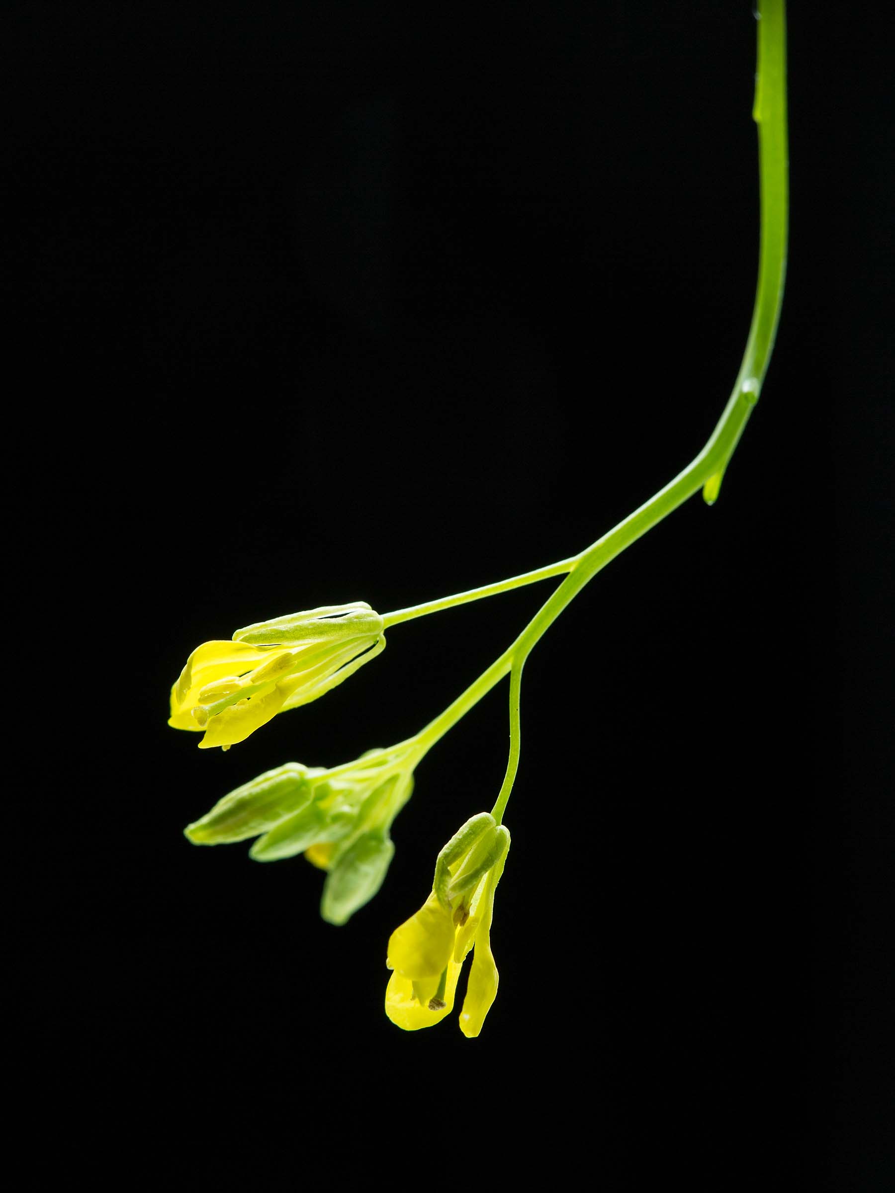 dh_2014_07_25_00349